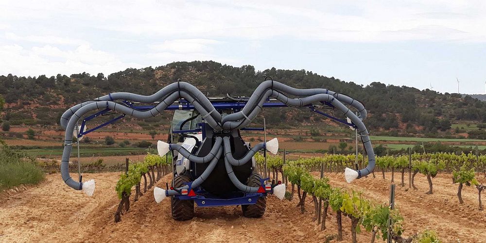 igj zefir kit penedes 7 03